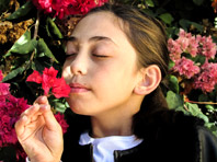 Ароматерапия способна повысить успеваемость школьников - «Медицина»