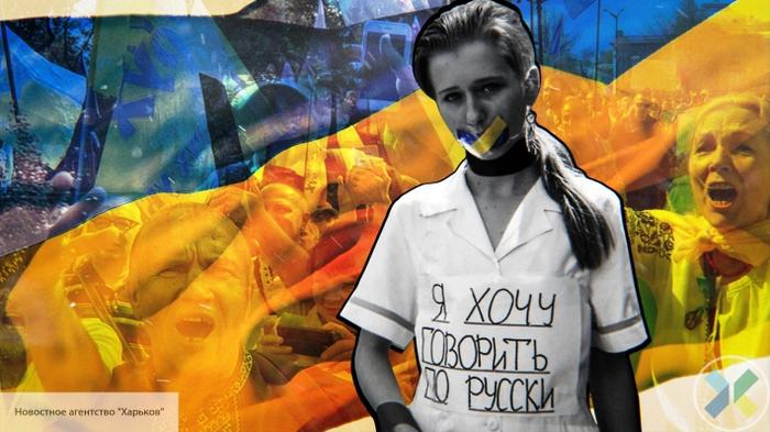 Команда Зеленского превращает Украину в «экономического Франкенштейна» - «Новости дня»