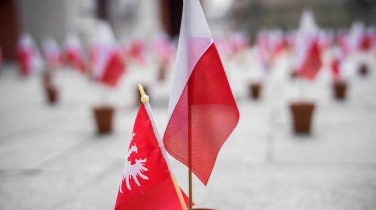 Большинство поляков благодарны Красной армии за освобождение от нацистов - «Политика»