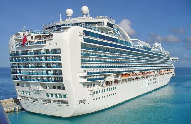 «Будут просить политического убежища»: о судьбе украинцев с круизного лайнера - «В мире»