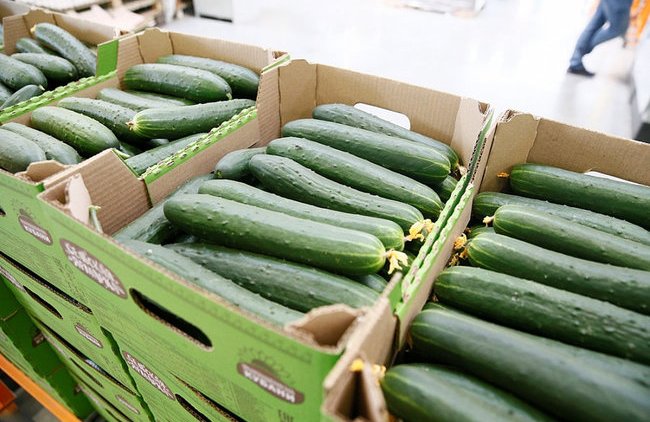 Дальний Восток оставляют без доступных продуктов - «Власть и Общество»