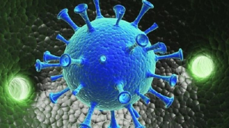 Коронавирус оказал неожиданное воздействие на окружающую среду - «Новости дня»