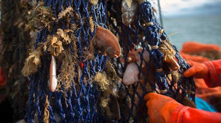 Пойманные в Азовском море украинцы признались в преступлении - «Крым»