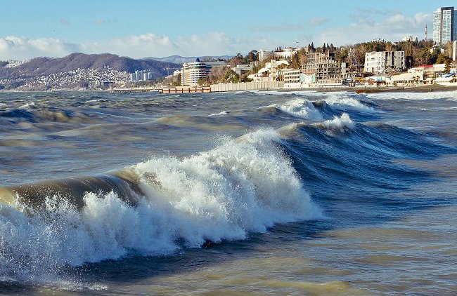 «Раз дай и всю руку откусят»: о претензиях Украины из-за потери активов в Крыму - «В мире»