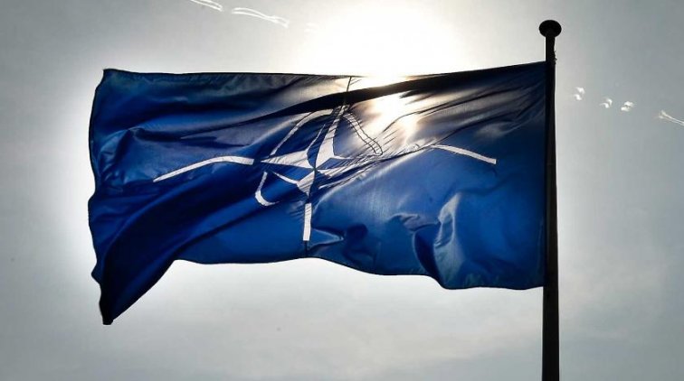 Разведчики НАТО заблудились в лесах Литвы - «Армия»