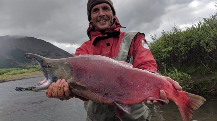 В России нашли живых существ, которым 200 тысяч лет - «Новости дня»