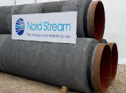 Обоснованные сомнения - «Новости дня»