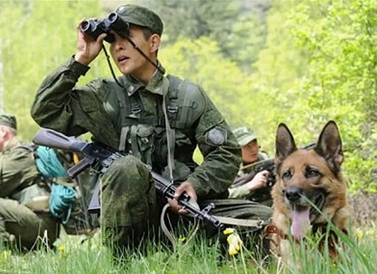 Ограничения по коронавирусу на границе России с Китаем продлили до 1 апреля - «Новости дня»