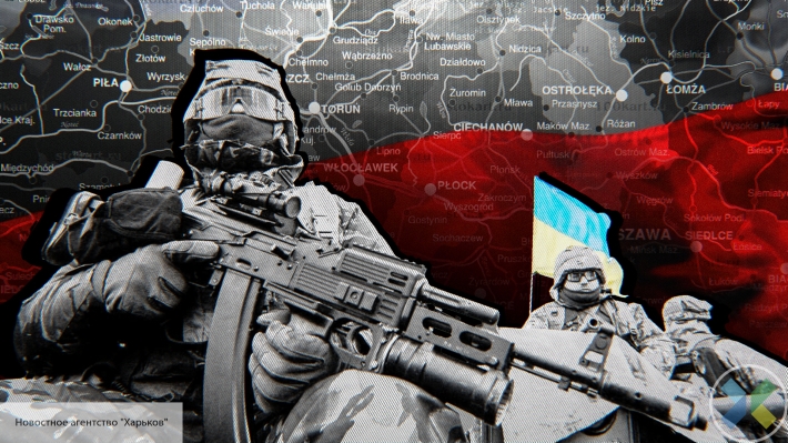 Рынок дешевых киллеров и наемников из АТО: поляки убивают друг друга руками украинцев - «Новости дня»