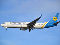 Украинская авиакомпания МАУ разрешила брать в салон толстых котов - «В мире»