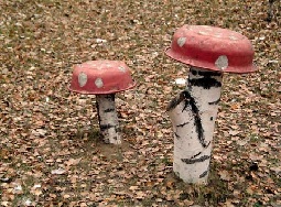 В этом предельном неприличии есть и позитив - «Новости дня»