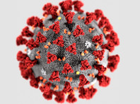 В Ухане подтверждена первая смерть иностранца от коронавируса - «В мире»