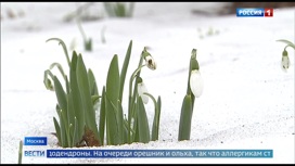 Вести-Москва Эфир от 17.02.2020 (14:25) - «Телеканал «Россия»