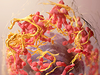 Завершено одно из самых масштабных исследований рака в мире - «Медицина»