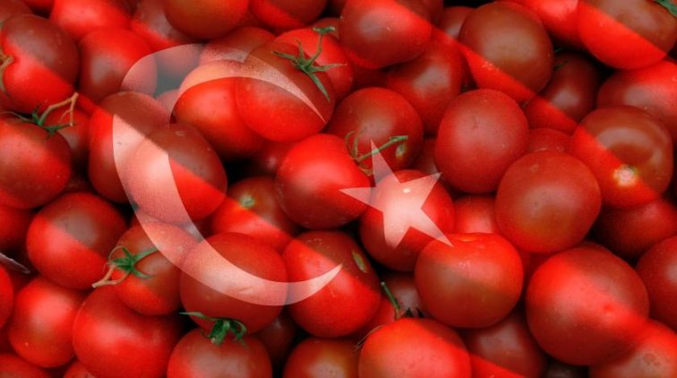 Анкара доигралась: в России резко снизился спрос на турецкие продукты - «Новости дня»