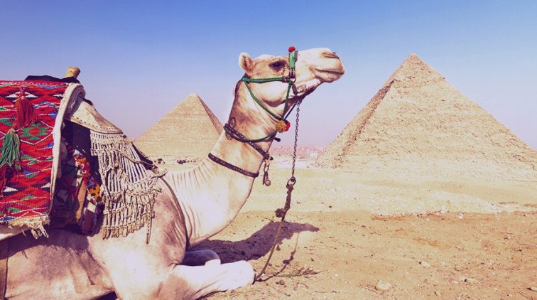 «Брутально врут»: МИД объяснил украинцам, почему не стоит ездить в Египет - «Новости дня»