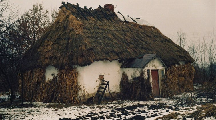 Через полгода от Украины останется пепелище: академик рассказал о положении в стране - «Новости дня»