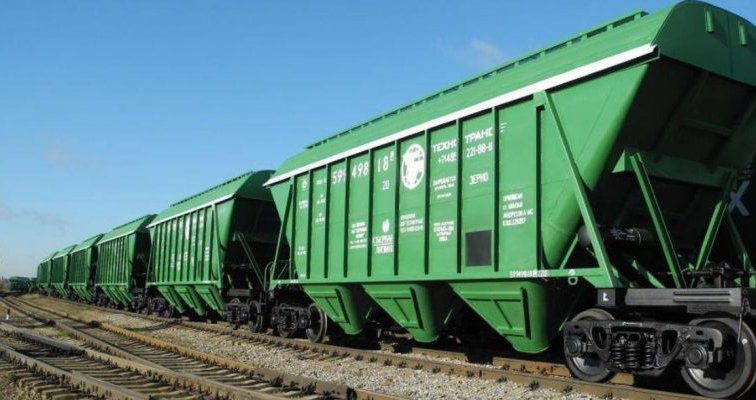 Казахстан лидирует по импорту алтайского зерна в начале 2020 года - «Новости дня»