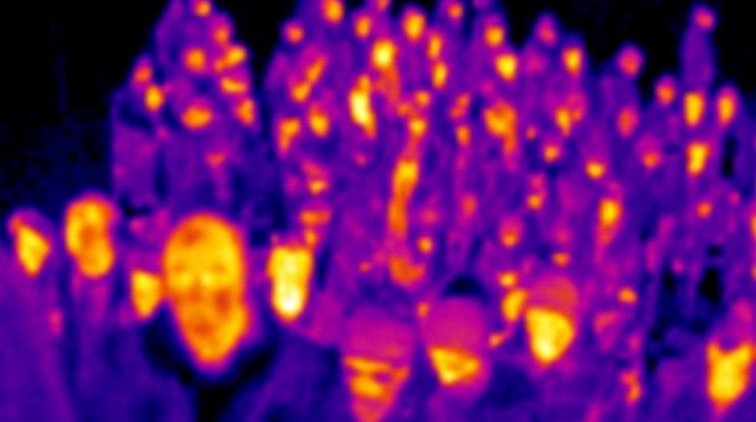 Кого винить в заражении? - «Новости дня»