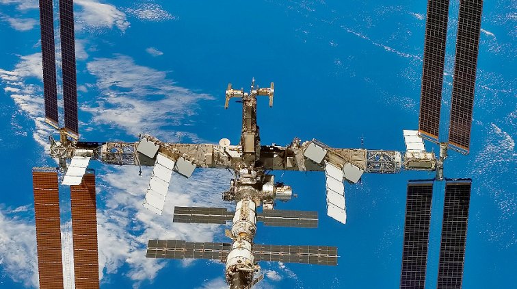 Космический медведь станет талисманом экипажа корабля "Союз МС-16" - «Новости дня»