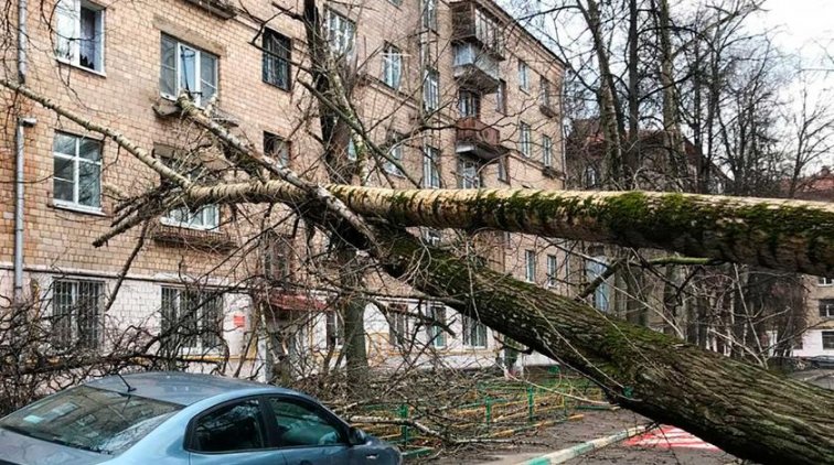 На Москву обрушился страшный ураган - «Происшествия»