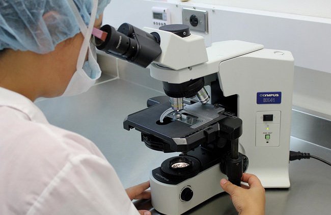 Неофеодализм держит спасителей мира в нищете – Делягин - «Власть и Общество»