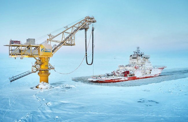 ОПЕК+ предложила России «горькую пилюлю» от кризиса - «В мире»