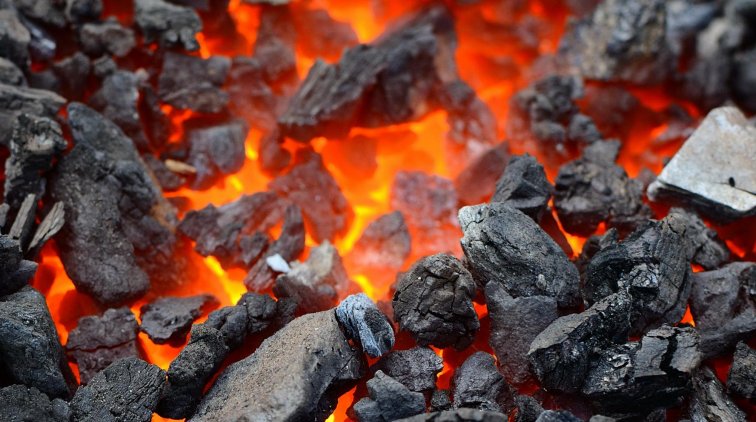 Польша попала в просак из-за своего решения - «Новости дня»