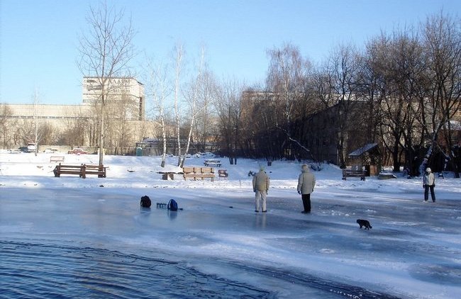 Тёфикация всей Москвы: знаменитый девелопер добивает Тимирязевку - «Экономика и бизнес»