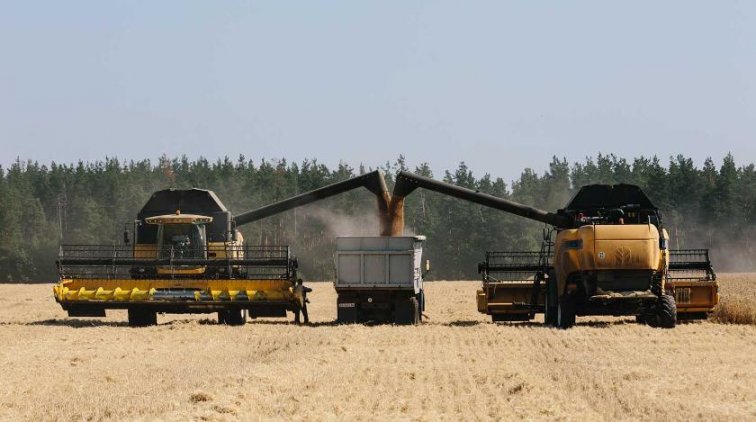 Власти Украины воспользовались вспышкой вируса для продажи земли - «Политика»