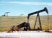 Мировые цены на нефть выросли на 7% после обвала в понедельник - «Экономика»