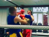 Петербургская боксерша скрывала свой пол ради поединков с мужчинами - «Спорт»