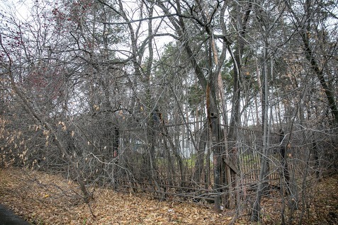 СМИ: в московском парке находят человеческие руки и голени - «Новости дня»