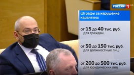 Вести Эфир от 31.03.2020 (17:00) - «Телеканал «Россия»