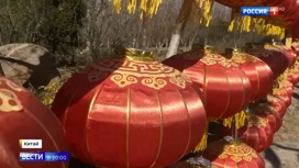 Вести в 20:00 Эфир от 24.03.2020 - «Телеканал «Россия»