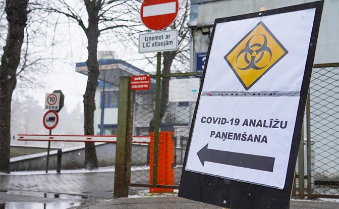 Волчья яма и ликующие зайцы - «Последние новости»