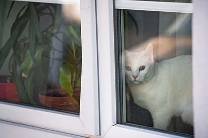 Врач описал «самый печальный сценарий» режима самоизоляции в России - «Новости дня»