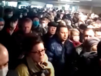 Алексей Рощин: "Они там все просто клинические идиоты!" - «Мнения»