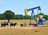 Цена июньских фьючерсов на WTI опустилась ниже 7 долларов за баррель - «Экономика»