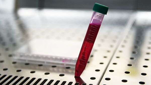 Есть разница? Минздрав сравнил китайский и российский препараты от COVID - «Медицина»