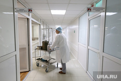 Из-за карантина медсестрам тубдиспансера в Кургане предложили работать бесплатно - «Новости дня»