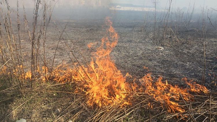 Киев в кольце пожаров, в городе зафиксировано сильное загрязнение воздуха - «Новости дня»