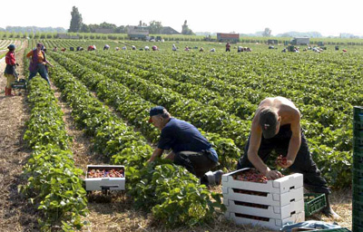 Конец европейской мечты Украины – святого безвиза - «Новости дня»