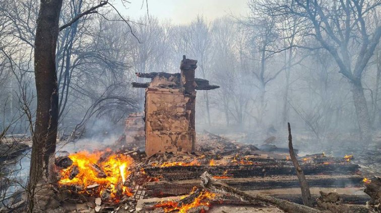 Дым из Чернобыльской зоны захватывает Киевскую область - «Украина»