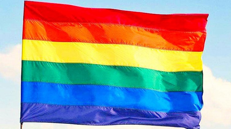 ИА Панорама сообщило, что ЛГБТ разрешат голосовать по поправкам в Конституцию - «Новости дня»