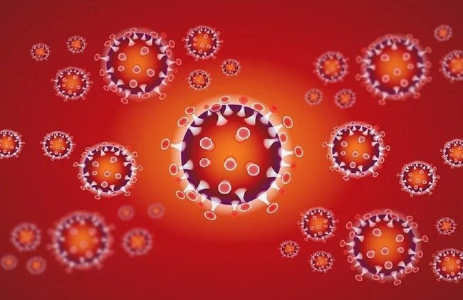 Международное сообщество подозревает, что Китай скрыл правду о коронавирусе - «В мире»