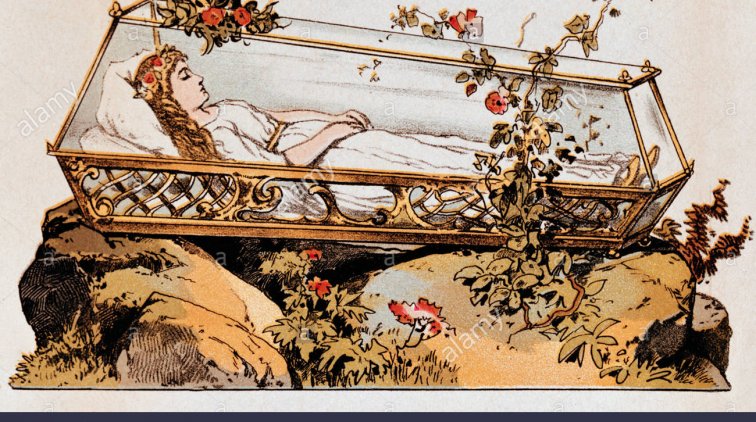 На российском кладбище нашли гроб с телом безымянной молодой женщины - «Новости дня»