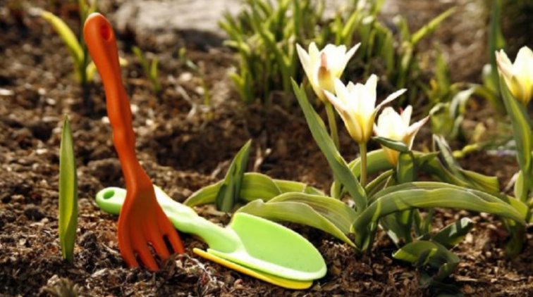 Ослабят ли ограничения на майские праздники - «Новости дня»