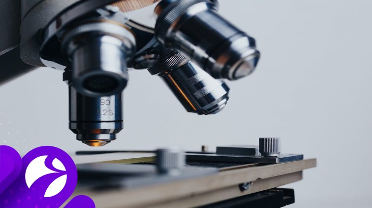 Президент поручил ускорить регистрацию вакцины от COVID-19 - «Новости дня»