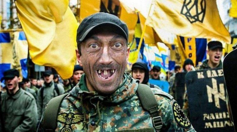 "России не нужны толпы одичавших бандеровцев" – сенатор - «Новости дня»